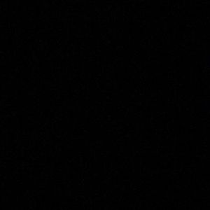 Meet your Posher, Carlie